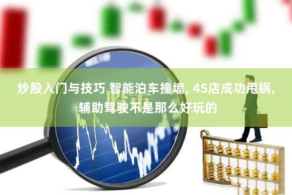 炒股入门与技巧 智能泊车撞墙, 4S店成功甩锅, 辅助驾驶不是那么好玩的