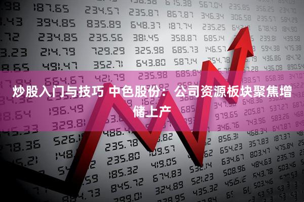 炒股入门与技巧 中色股份：公司资源板块聚焦增储上产